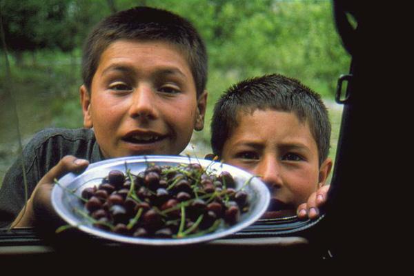 "Cherries for love"