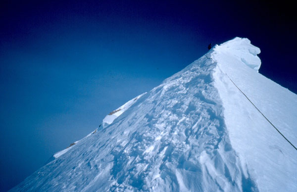 Vrh Moonflower Buttress