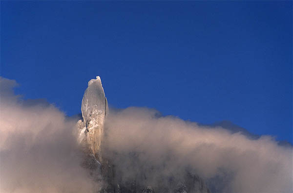 Torre