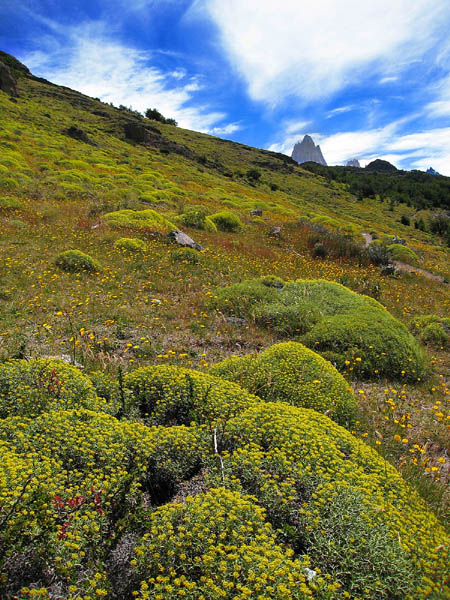 Fitz Roy iz Chaltena