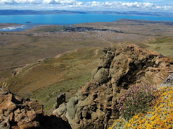 Calafate