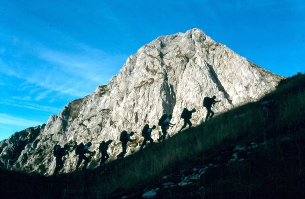 "Palčki"