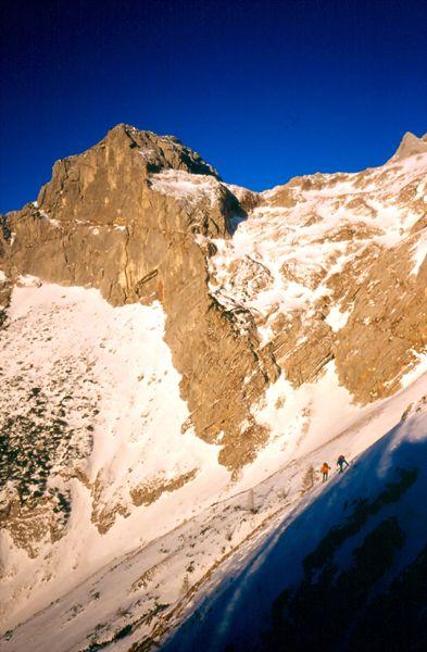 Kogel