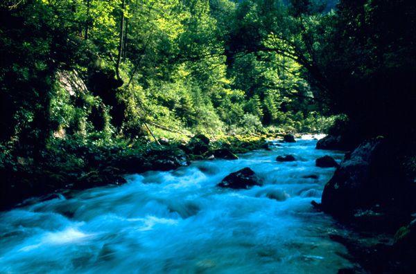 Bistrica